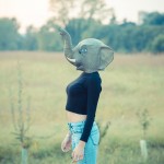 Feminist Lessons to Learn From the Animal Kingdom