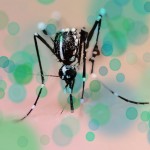 The Zika Virus Is Reshaping the Abortion Debate