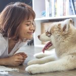 Like Kids, Dogs Crave Structure — Here’s Why
